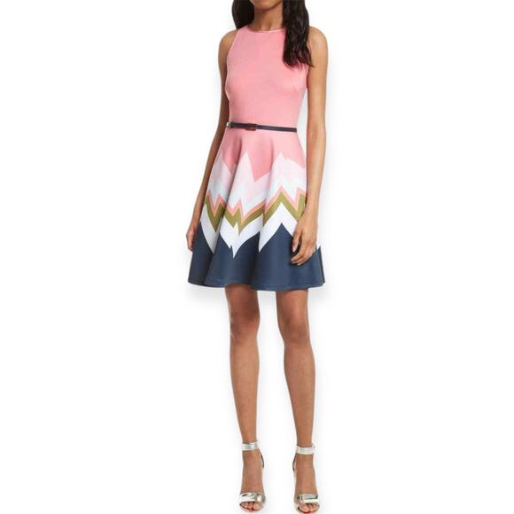 Ted Baker Aurella Mississippi Pink Chevron Skater Dress Bold Zigzag Skirt US 6 - Picture 1 of 16